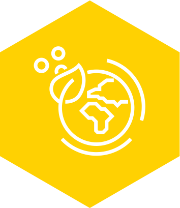 �����I��